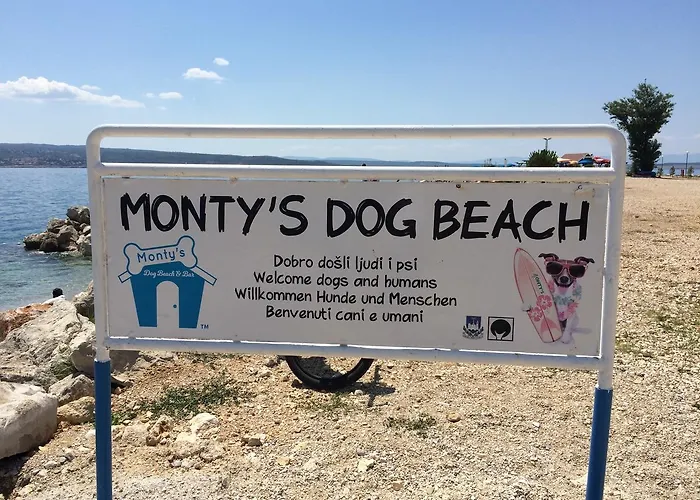 別荘 House Crik ツリクヴェニツァ