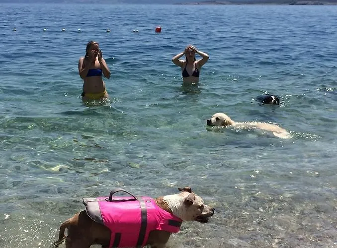 House Crik * ツリクヴェニツァ