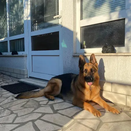 Semesterbostad House Crik