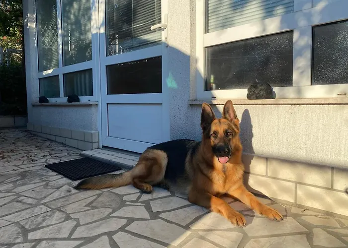 Prázdninový dům House Crik